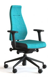 back-care-chairs-IMAGE 53