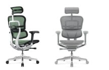 back-care-chairs-IMAGE-64