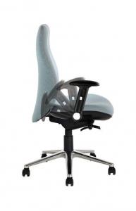 back-care-chairs-IMAGE 31.jpg