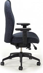 back-care-chairs-IMAGE 33.jpg