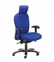 back-care-chairs-IMAGE 36.jpg