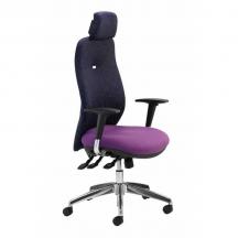 back-care-chairs-IMAGE 37.jpg
