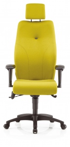 back-care-chairs-IMAGE 4