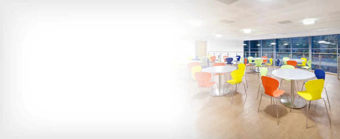 cafe-back